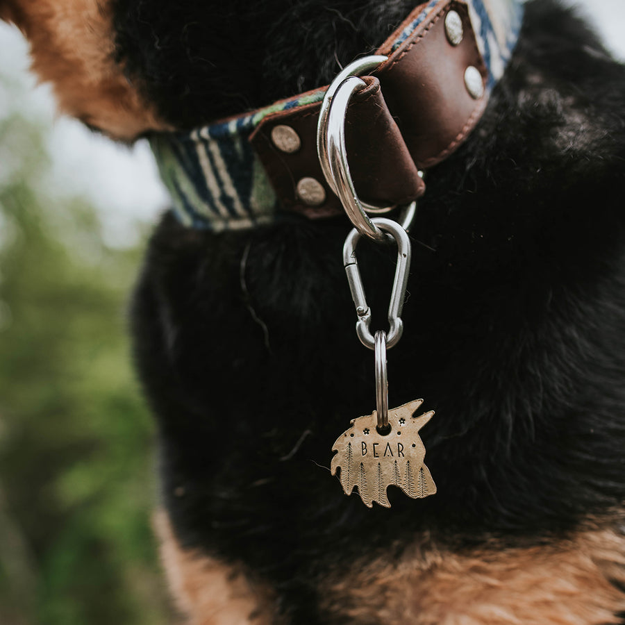 Kylo- Simple Style - Copper Paws Dog Tags
