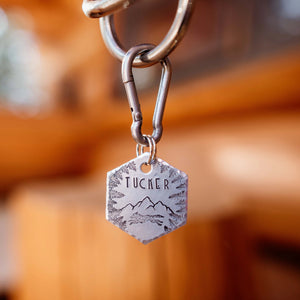 Tucker- Simple Style - Copper Paws Dog Tags