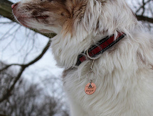 Dog Tag Attachment - Copper Paws