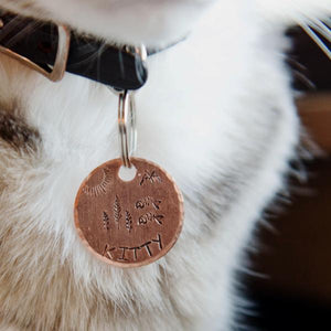 Fish Fry- Kitty Tag - Copper Paws