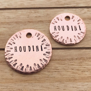 Asher- Buddy Tags - Copper Paws Dog Tags