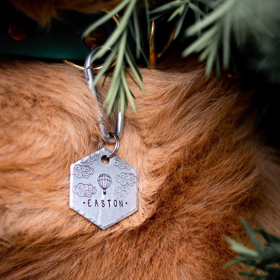 Hugo- Simple Style - Copper Paws Dog Tags